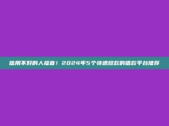 信用不好的人福音！2024年5个快速放款的借款平台推荐