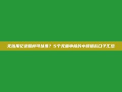 无信用记录照样可以借？5个无需审核的小额借款口子汇总