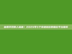 信用不好的人福音！2024年5个快速放款的借款平台推荐