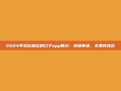 2024年轻松借款的口子app展示：快速申请，无条件放款