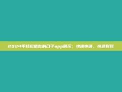 2024年轻松借款的口子app展示：快速申请，快速到账