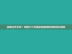 急需经济支持？揭晓5个无需征信极速审核的贷款通道