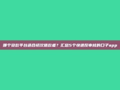 哪个贷款平台适合初次借款者？汇总5个快速反审核的口子app