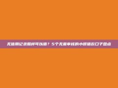 无信用记录照样可以借？5个无需审核的小额借款口子盘点