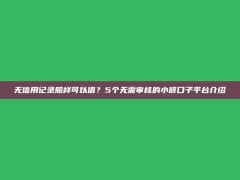 无信用记录照样可以借？5个无需审核的小额口子平台介绍