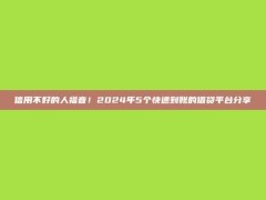 信用不好的人福音！2024年5个快速到账的借贷平台分享