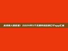 高负债人群救星！2024年5个无条件放款的口子app汇编