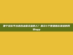 哪个贷款平台适合急需资金的人？展示5个便捷借款渠道的网贷app