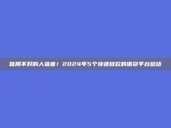 信用不好的人福音！2024年5个快速放款的借贷平台总结