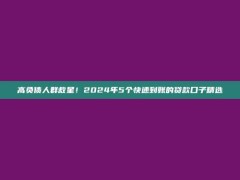 高负债人群救星！2024年5个快速到账的贷款口子精选