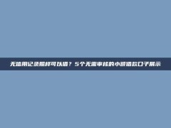 无信用记录照样可以借？5个无需审核的小额借款口子展示