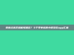 负债过高仍然能够借款？5个零审核的小额贷款app汇编