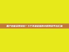 黑户也能获得贷款？5个不查征信的小额网贷平台汇编