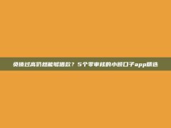 负债过高仍然能够借款？5个零审核的小额口子app精选