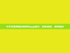 今年无抵押借款的网贷app展示：秒批申请，简单借款