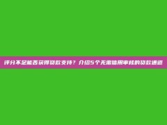 评分不足能否获得贷款支持？介绍5个无需信用审核的贷款通道