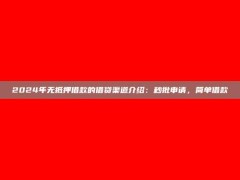 2024年无抵押借款的借贷渠道介绍：秒批申请，简单借款