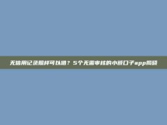 无信用记录照样可以借？5个无需审核的小额口子app揭晓