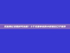 无信用记录照样可以借？5个无需审核的小额借款口子推荐