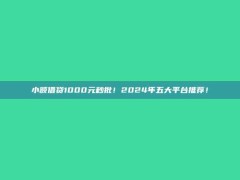 小额借贷1000元秒批！2024年五大平台推荐！