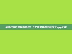 负债过高仍然能够借款？5个零审核的小额口子app汇编