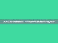 负债过高仍然能够借款？5个无需审核的小额网贷app推荐