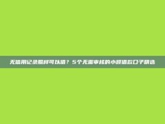 无信用记录照样可以借？5个无需审核的小额借款口子精选