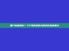 黑户也能借款？5个免审核的小额贷款通道展示