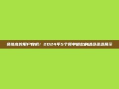 负债高的用户良机！2024年5个简单借款的借贷渠道展示