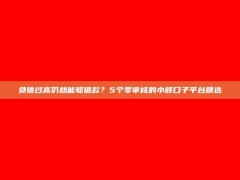 负债过高仍然能够借款？5个零审核的小额口子平台精选