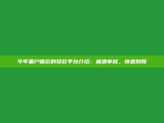 今年黑户借款的贷款平台介绍：极速审核，快速到账