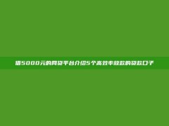 借5000元的网贷平台介绍5个高效率放款的贷款口子