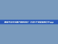 哪些平台专为黑户提供贷款？介绍5个免征信的口子app