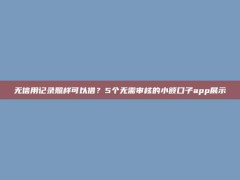 无信用记录照样可以借？5个无需审核的小额口子app展示