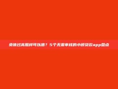 负债过高照样可以借？5个无需审核的小额贷款app盘点