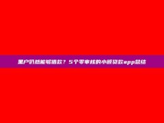 黑户仍然能够借款？5个零审核的小额贷款app总结