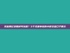 无信用记录照样可以借？5个无需审核的小额资金口子展示