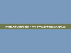 负债过高仍然能够借款？5个零审核的小额贷款app汇总