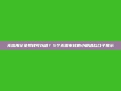 无信用记录照样可以借？5个无需审核的小额借款口子展示