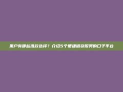 黑户有哪些借款选择？介绍5个便捷借贷服务的口子平台