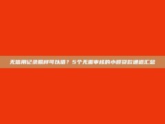 无信用记录照样可以借？5个无需审核的小额贷款通道汇总