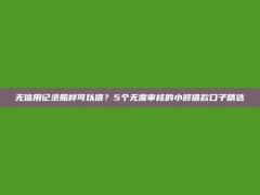 无信用记录照样可以借？5个无需审核的小额借款口子精选