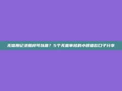 无信用记录照样可以借？5个无需审核的小额借款口子分享