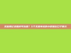 无信用记录照样可以借？5个无需审核的小额借款口子展示