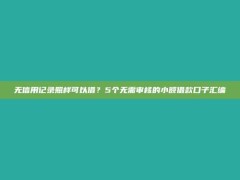 无信用记录照样可以借？5个无需审核的小额借款口子汇编