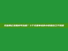 无信用记录照样可以借？5个无需审核的小额借款口子揭晓