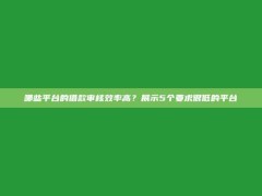 哪些平台的借款审核效率高？展示5个要求很低的平台