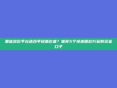 哪些贷款平台适合年轻借款者？推荐5个快速借款方案的资金口子