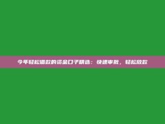 今年轻松借款的资金口子精选：快速审批，轻松放款