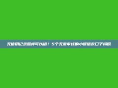 无信用记录照样可以借？5个无需审核的小额借款口子揭晓